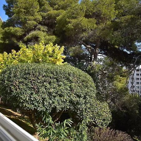 Magnifique Studio Bas Fabron Avec Vue Mer 公寓